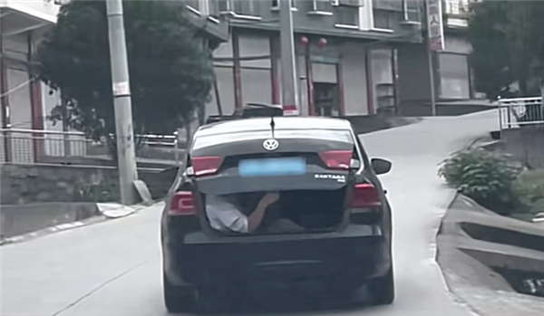 男子怕小猪崽中暑 让朋友坐后备厢照看:被罚100元记3分