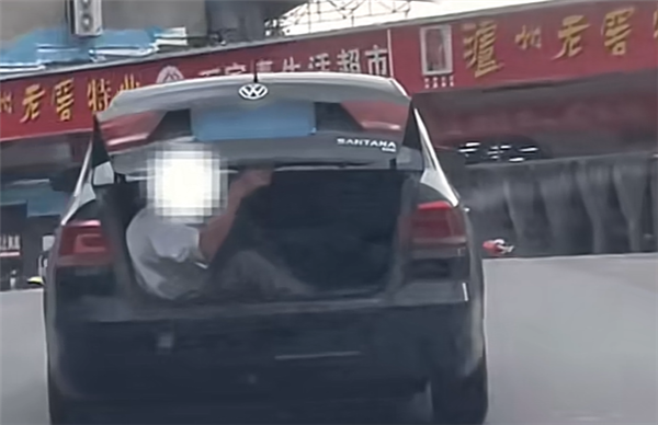 男子怕小猪崽中暑 让朋友坐后备厢照看:被罚100元记3分