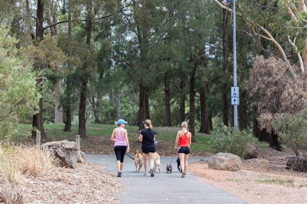 狗权至上!澳大利亚堪培拉立法:狗主人必须每天陪伴狗3个
