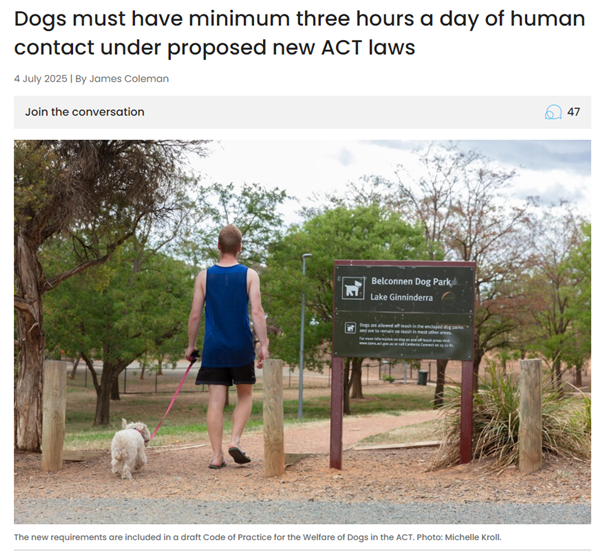 狗权至上!澳大利亚堪培拉立法:狗主人必须每天陪伴狗3个