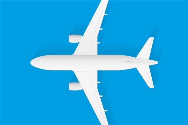 飞机着陆前粉丝强闯机舱追星 律师：扰乱公共秩序