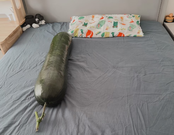 抱冬瓜睡觉突然走红 医生紧急提醒：阳虚体质人群慎用