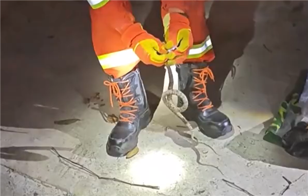 猫咪立大功!贵州一农户家井中发现剧毒烙铁头蛇