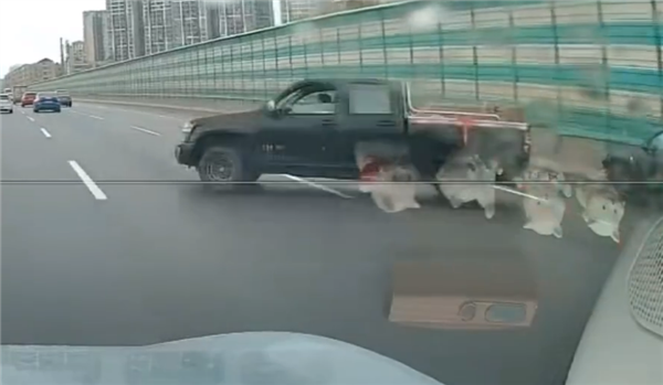 特斯拉Model Y司机神操作:变道后猛打方向盘 连撞两台车