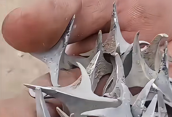 甘肃一公路上“3车12胎被扎” 官方通报：两人蓄意报复被抓