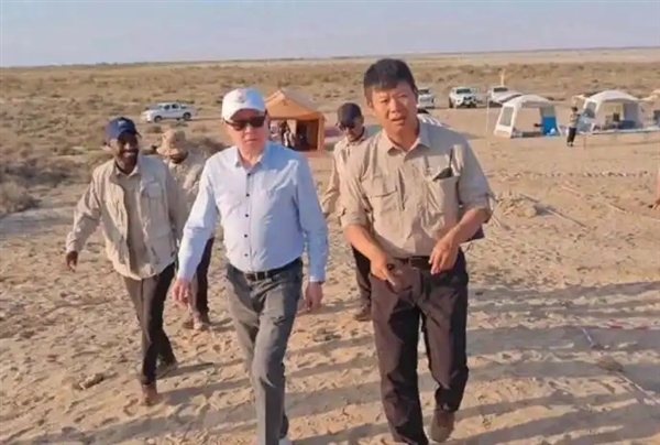 中国人在沙漠里放了10万头黑猪：解决世界级治沙难题