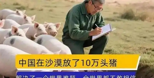 中国人在沙漠里放了10万头黑猪：解决世界级治沙难题