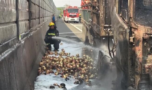 真“辣眼睛”!高速上一满载30吨洋葱货车自燃