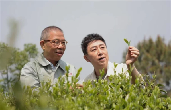 娃哈哈遗产大战让钟睒睒口碑翻盘 网友:商界一股清流