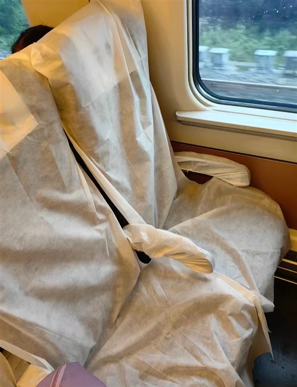 高铁一次性座椅套热销 12306回应座椅消毒情况