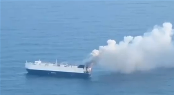 已发生多起自燃事故 美国知名轮船公司:暂停承运纯电和插混汽车