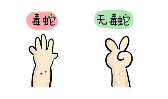 男子被毒蛇咬伤 网友隔空提醒救命