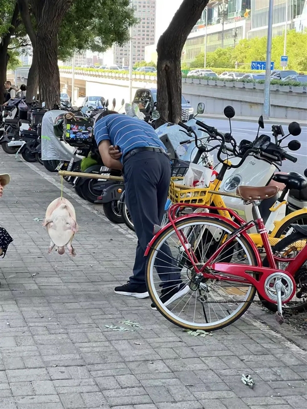 多地街头贩卖“野生鳖”:不要吃、更不能买来放生!