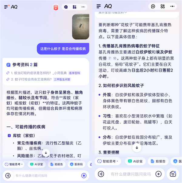 广东发生基孔肯雅热疫情 AQ上线拍照识蚊子功能:支持品种识别