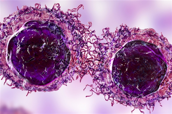 女子称1年半内家里4人确诊癌症:都有癌症病史