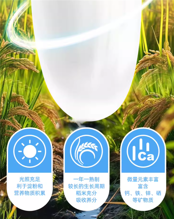 现磨现发 真空包装 五稻田五常大米5斤限时到手15元