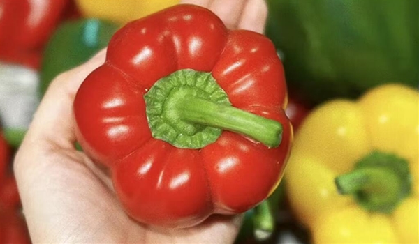 女子跟风女星生吃彩椒碗:结果感染钩虫