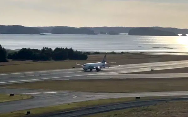 离奇事故!波音737客机跑道降落时 撞死几只鹿