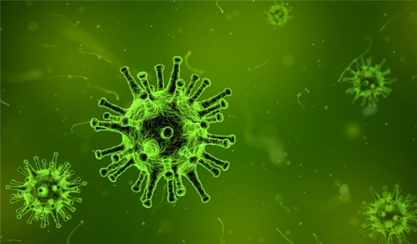 鼠尿病致死率高达70% 有人赤脚下田接触老鼠尿后进ICU