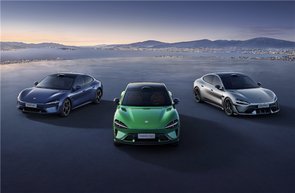 小米汽车出租 租车公司拿去抵押5万块!车主:有20多人被骗