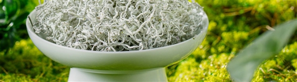 鲜香爽口 持久回甘:张家界芽尖莓茶60克39元大促