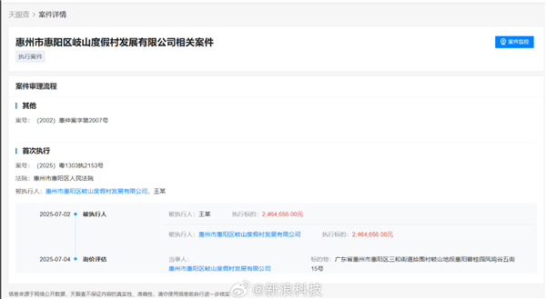 进军AI领域二次创业后 王自如再成被执行人 执行标的超246万