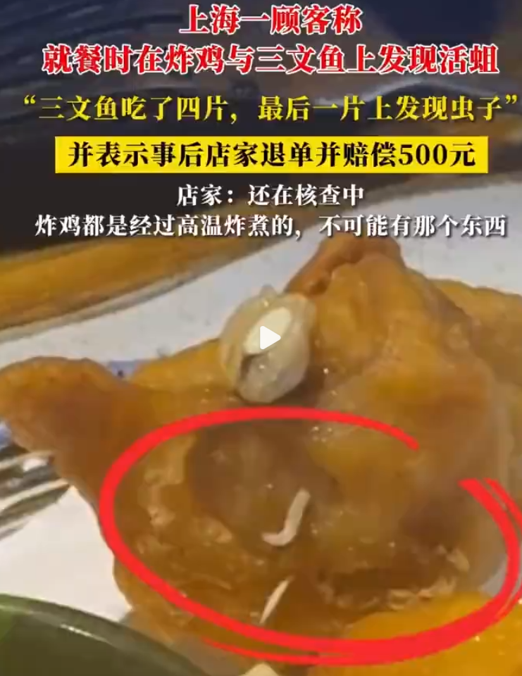 网友称在上海一日料店里吃出活蛆!店家回应:还在核查中 !-图1 网友称在上海一日料店里吃出活蛆!店家回应:还在核查中 !-图1