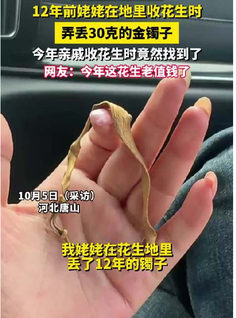 收花生找到姥姥丢了12年的金镯子 !网友:今年这花生老值钱了!-图1 收花生找到姥姥丢了12年的金镯子 !网友:今年这花生老值钱了!-图1