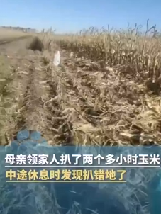 一家人掰2小时玉米后发现不是自家地 !直言:都是街坊邻居,装好后才去自家地 !-图1 一家人掰2小时玉米后发现不是自家地 !直言:都是街坊邻居,装好后才去自家地 !-图1