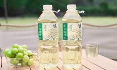 东方树叶出1.5L装 饮料为啥越卖越大：原因揭开
