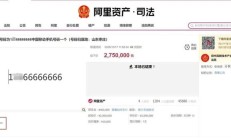 手机号275万元拍出!归属地为枣庄