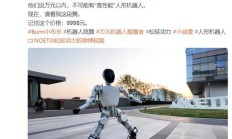 全球首款万元以内高性能人形机器人:松延动力 Bumi 小布米发布
