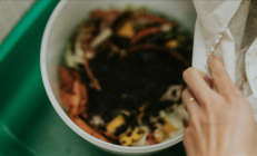 有望减少塑料污染!新研究用食物垃圾开发出天然薄膜 !