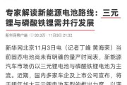 新华网发声：三元锂和磷酸铁锂共同发展！