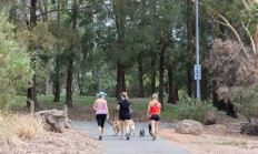 狗权至上!澳大利亚堪培拉立法:狗主人必须每天陪伴狗3个小时