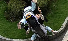 四名少女同乘一辆电动摩托扎进绿化带：秒变“八腿蜘蛛”