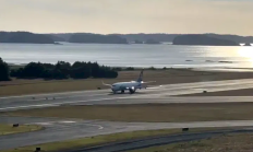 离奇事故！波音737客机跑道降落时 撞死几只鹿