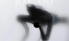 宇树四足机器人新品官宣，动力性能 ≈ 2×Go2